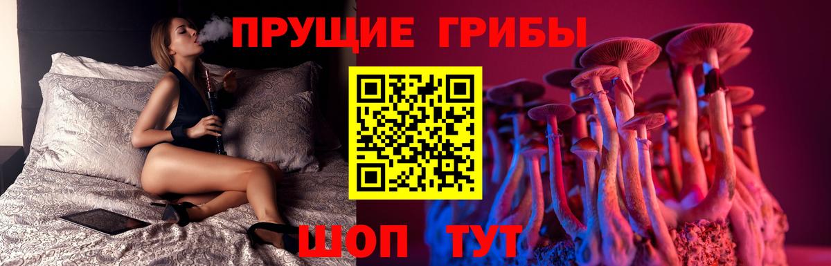 Псилоцибиновые грибы ЛСД Тамбов