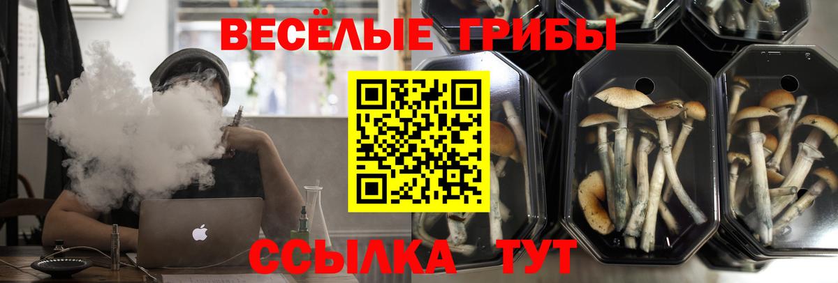 Галлюциногенные грибы ЛСД  Псилоцибиновые грибы мухоморы  Тамбов  Вход с VPN 